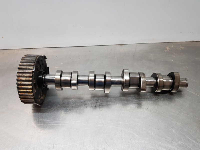 Recambio de arbol de levas para volkswagen golf v berlina (1k1) highline referencia OEM IAM 038109101R  