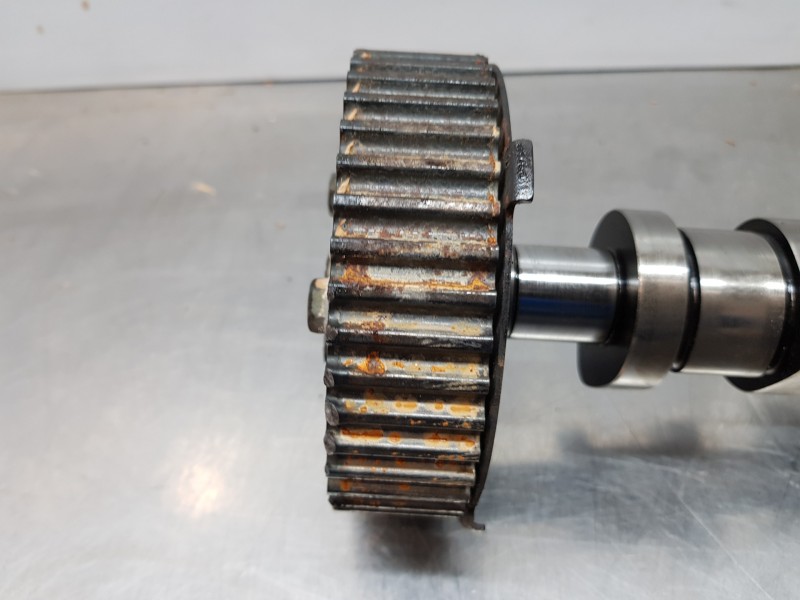 Recambio de arbol de levas para volkswagen golf v berlina (1k1) highline referencia OEM IAM 038109101R  