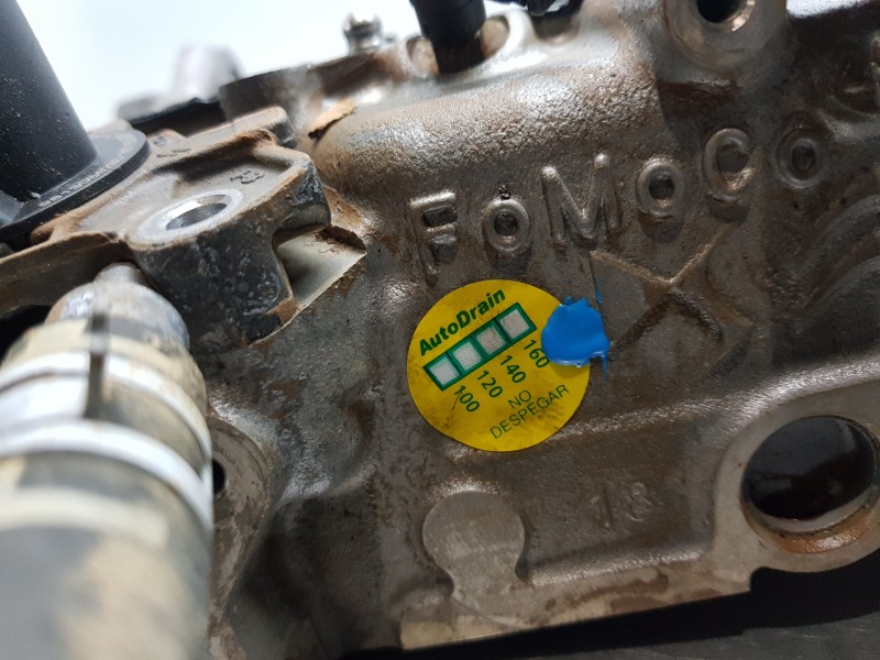 Recambio de culata para citroen c4 cactus bluehdi referencia OEM IAM 1623158880  