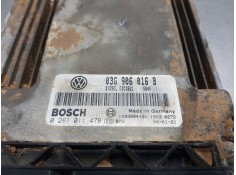 Recambio de centralita motor uce para volkswagen golf v berlina (1k1) highline referencia OEM IAM 03G906016B  