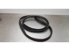 Recambio de gomas contorno puerta para dacia lodgy ambiance referencia OEM IAM 769236807R  