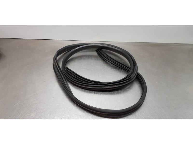 Recambio de gomas contorno puerta para dacia lodgy ambiance referencia OEM IAM 769236807R  