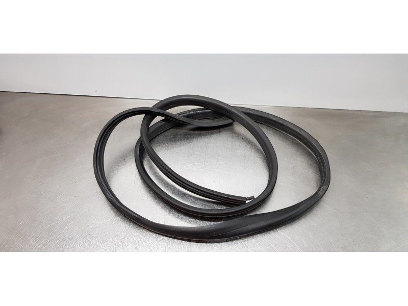 Recambio de gomas contorno puerta para dacia lodgy ambiance referencia OEM IAM 769236807R  