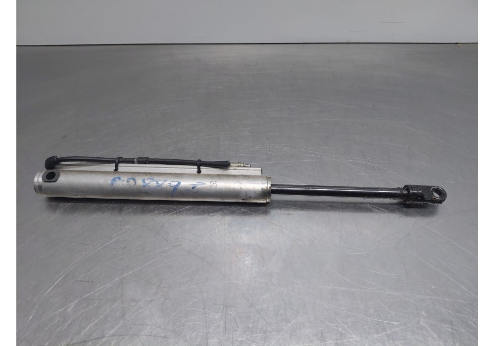 Recambio de amortiguadores maletero / porton para peugeot 307 cc (s2) sport referencia OEM IAM   