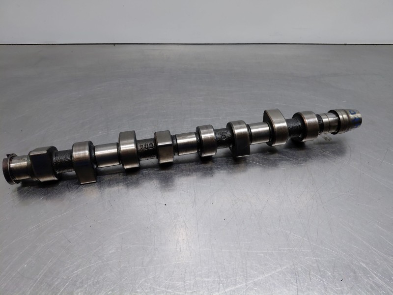 Recambio de arbol de levas para seat leon (1m1) 1.9 tdi referencia OEM IAM 038109101K  