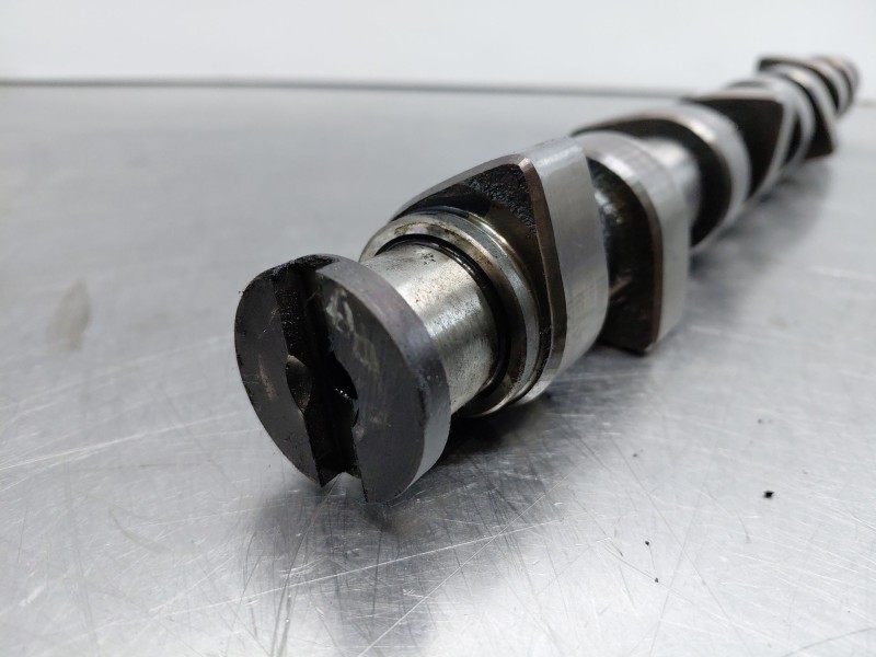 Recambio de arbol de levas para seat leon (1m1) 1.9 tdi referencia OEM IAM 038109101K  