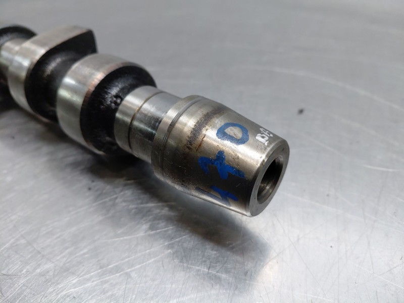 Recambio de arbol de levas para seat leon (1m1) 1.9 tdi referencia OEM IAM 038109101K  