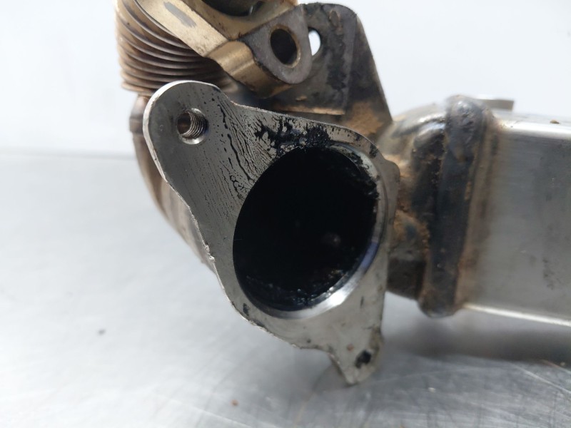 Recambio de enfriador egr para bmw serie 3 berlina (e90) 320d referencia OEM IAM 11717810166 7810166 781016605