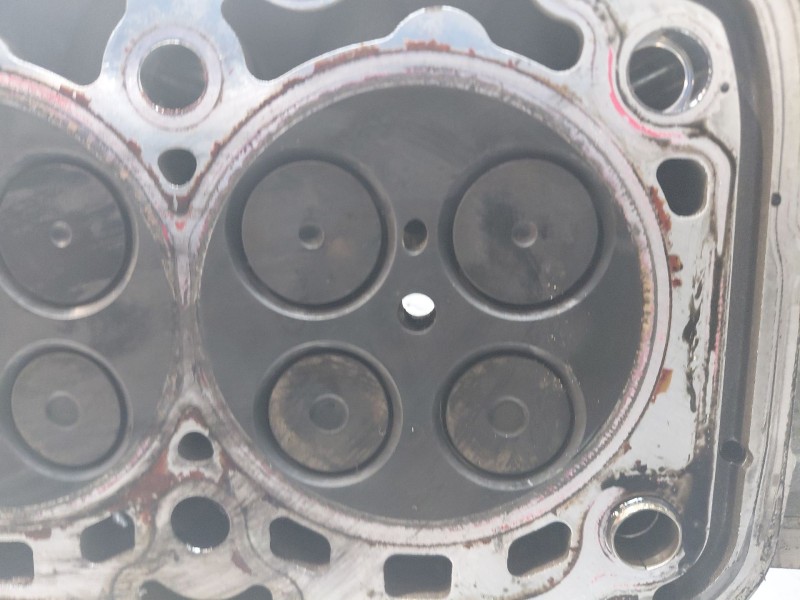 Recambio de culata para bmw serie x3 (g01) xdrive20d referencia OEM IAM 11128580266  