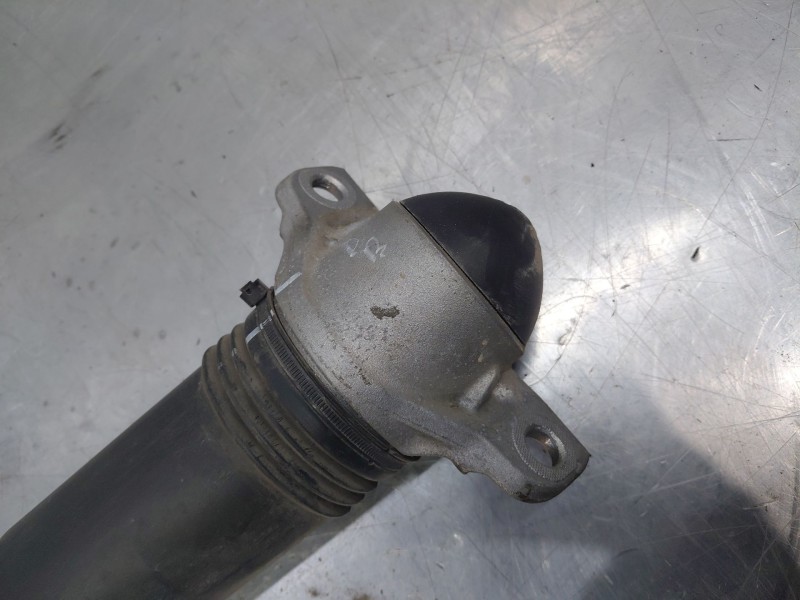 Recambio de amortiguador trasero derecho para audi q3 (f3b) 35 tdi referencia OEM IAM 5QF513049CD  