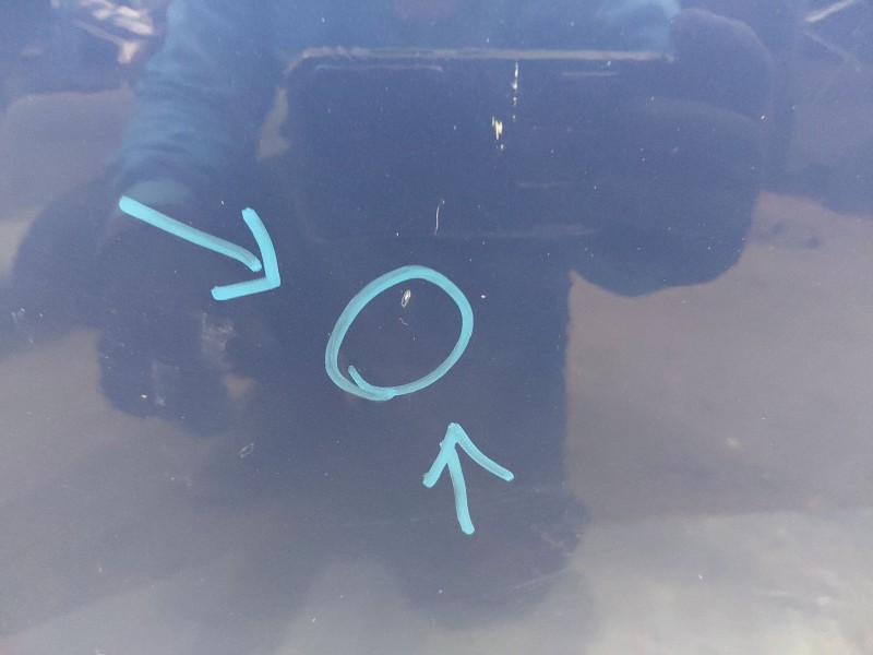 Recambio de puerta delantera izquierda para ford kuga (cbs) titanium referencia OEM IAM 2420515  