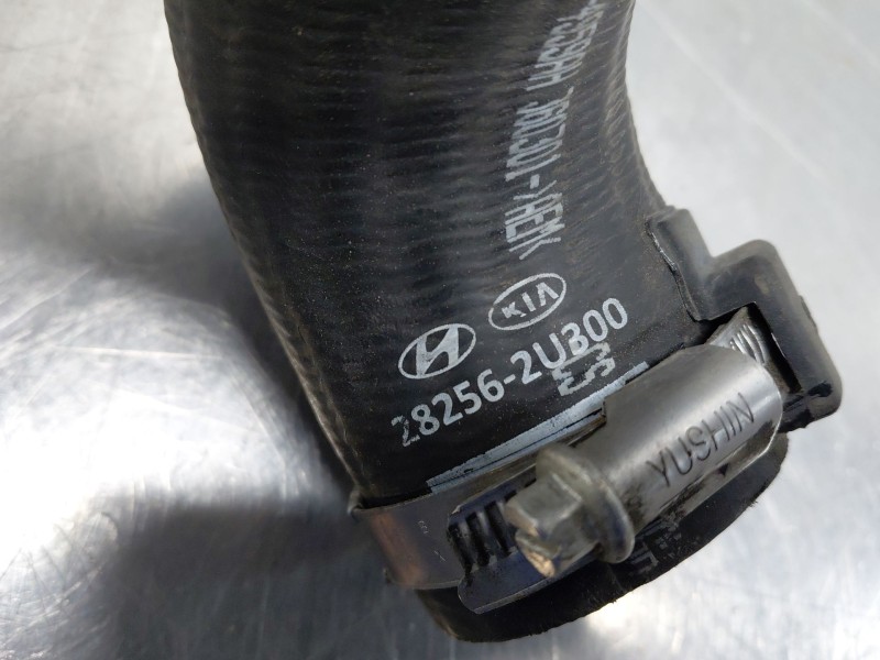 Recambio de tubo para hyundai tucson tecno sky referencia OEM IAM 282562U300  