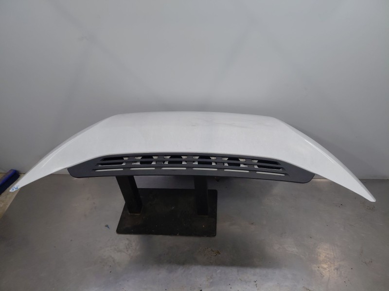 Recambio de capot para fiat ducato furgón multijet referencia OEM IAM   