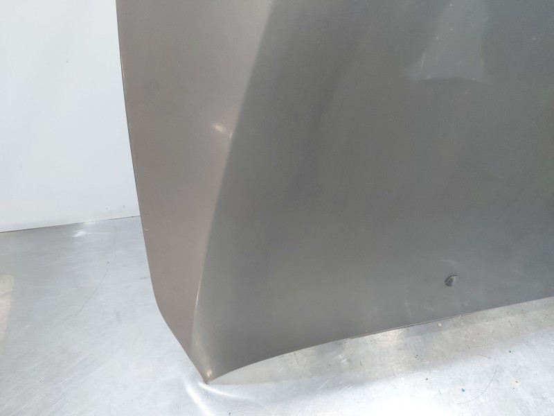 Recambio de capot para bmw 5 (e60) 530 d referencia OEM IAM   