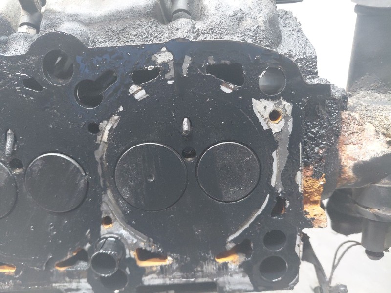 Recambio de culata para volkswagen golf v (1k1) 1.9 tdi referencia OEM IAM 03G103351C  