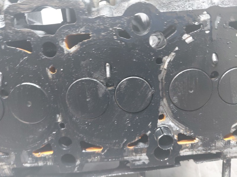 Recambio de culata para volkswagen golf v (1k1) 1.9 tdi referencia OEM IAM 03G103351C  