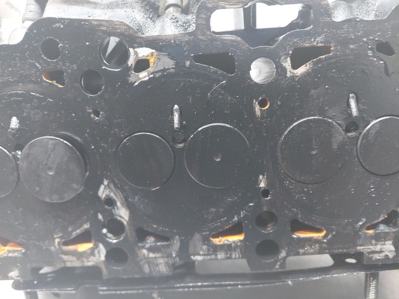 Recambio de culata para volkswagen golf v (1k1) 1.9 tdi referencia OEM IAM 03G103351C  