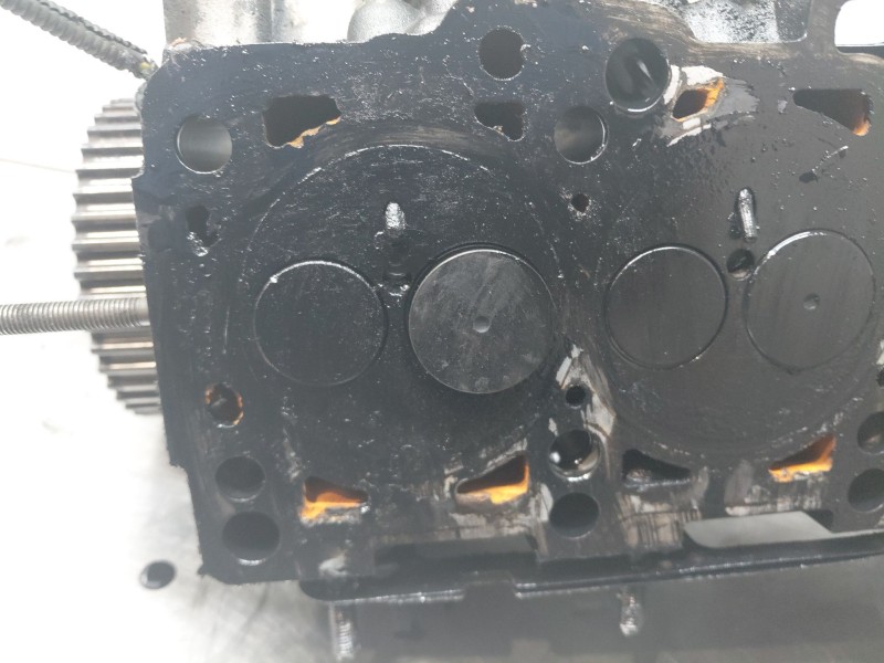 Recambio de culata para volkswagen golf v (1k1) 1.9 tdi referencia OEM IAM 03G103351C  