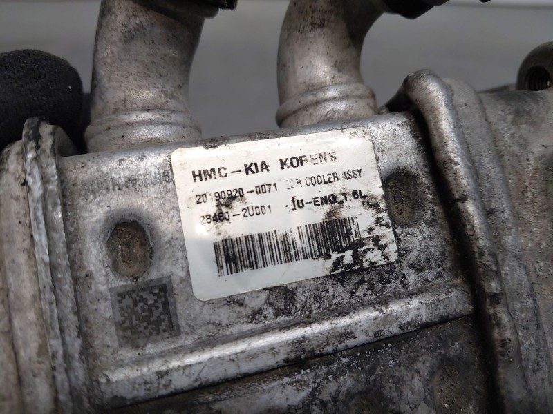 Recambio de enfriador egr para kia ceed sportswagon concept referencia OEM IAM   