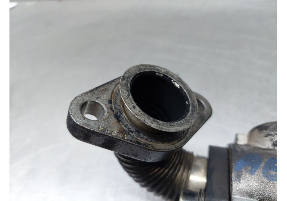 Recambio de valvula egr para opel zafira / zafira family b (a05) 1.9 cdti (m75) referencia OEM IAM   