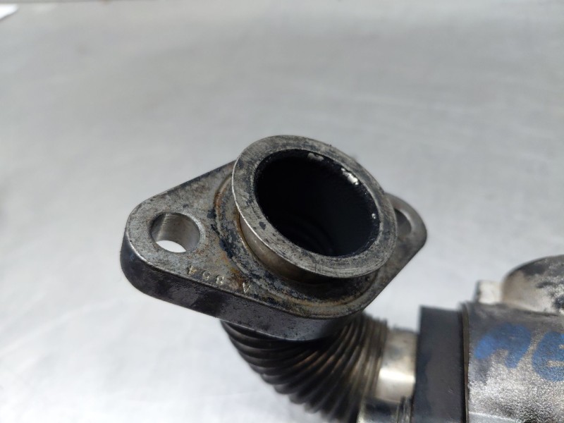 Recambio de valvula egr para opel zafira / zafira family b (a05) 1.9 cdti (m75) referencia OEM IAM   