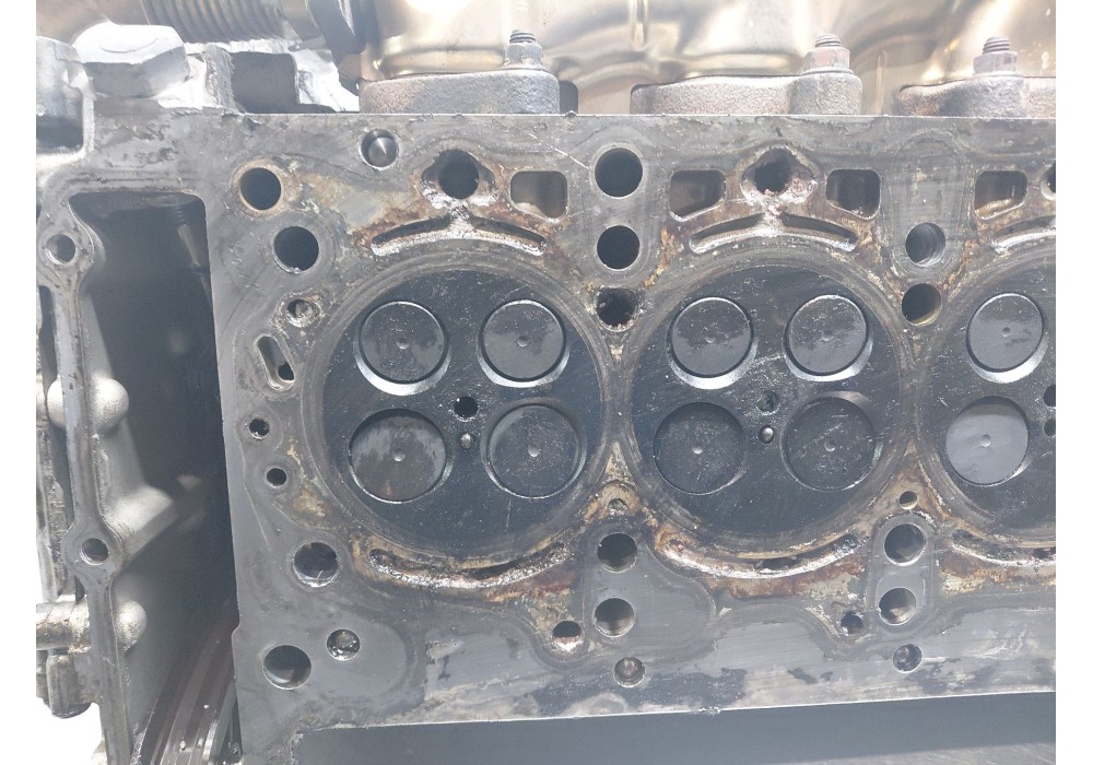 Recambio de culata para mercedes-benz clase e (w212) lim. 220 cdi blueefficiency (212.002) referencia OEM IAM A651010302080  