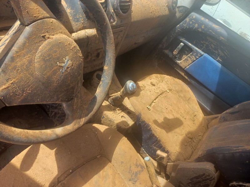 peugeot 1007 del año 2006