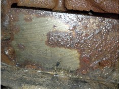 Recambio de motor completo para ford kuga (cbv) trend referencia OEM IAM UFD   2