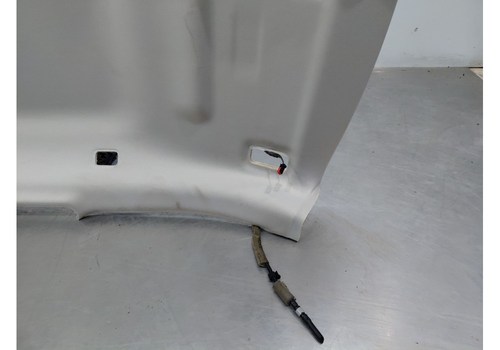 Recambio de techo interior para land rover range rover evoque (l551) 2.0 d150 referencia OEM IAM   
