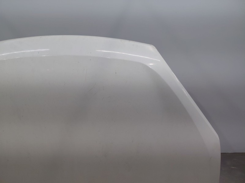 Recambio de capot para fiat doblo ii cargo (263) multijet referencia OEM IAM   