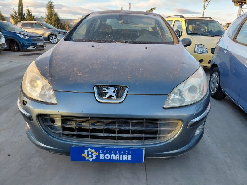 peugeot 407 (6d_) del año 2005