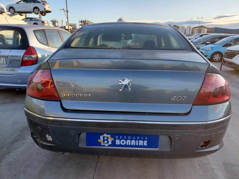 peugeot 407 (6d_) del año 2005