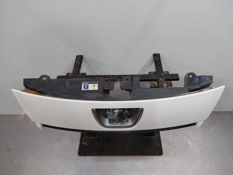 Recambio de rejilla delantera para peugeot expert kasten active referencia OEM IAM 7804Q8  