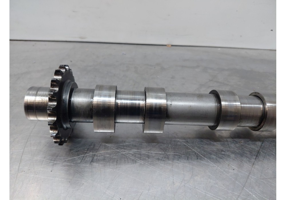 Recambio de arbol de levas para fiat scudo furgoneta (270_, 272_) 2.0 d multijet referencia OEM IAM 9644216280  