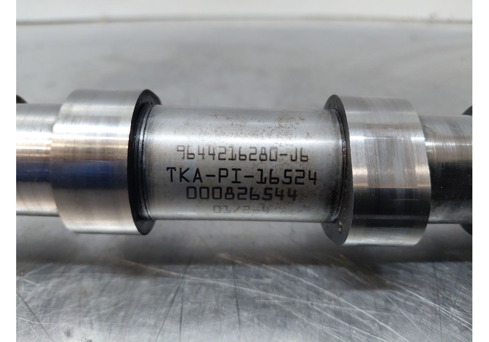 Recambio de arbol de levas para fiat scudo furgoneta (270_, 272_) 2.0 d multijet referencia OEM IAM 9644216280  