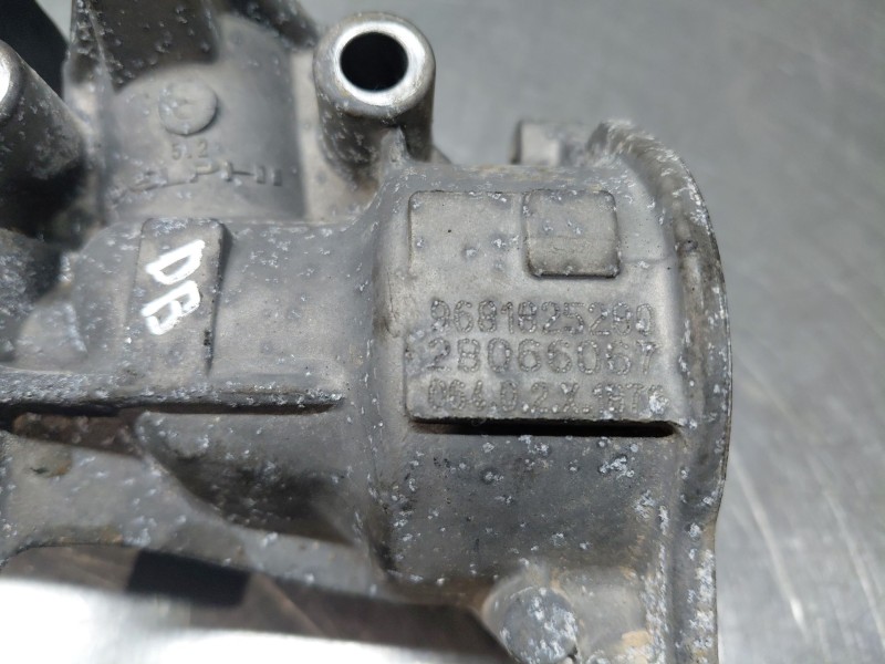 Recambio de valvula egr para peugeot expert kasten active referencia OEM IAM   