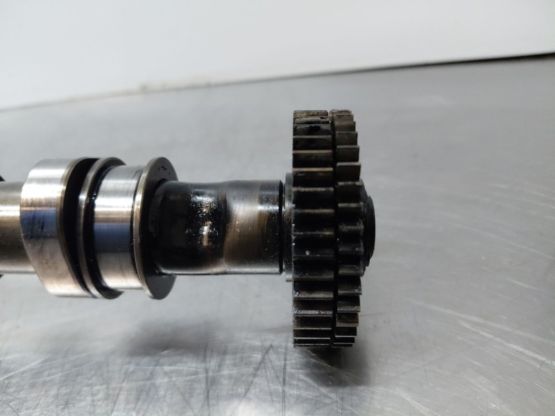 Recambio de arbol de levas para audi a4 b8 (8k2) 2.0 tdi referencia OEM IAM   