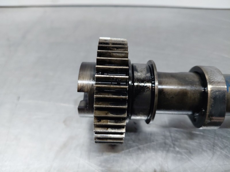 Recambio de arbol de levas para audi a4 b8 (8k2) 2.0 tdi referencia OEM IAM   