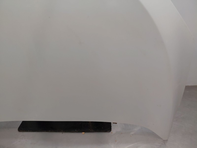 Recambio de capot para renault megane iii coupe dynamique referencia OEM IAM   