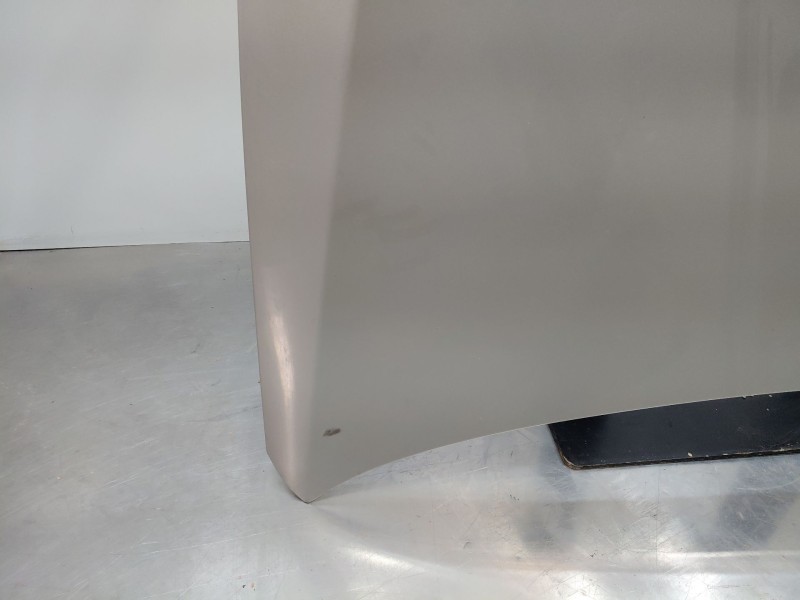 Recambio de capot para bmw 3 (e90) 320 d referencia OEM IAM   