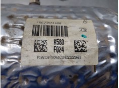 Recambio de filtro de particulas para citroën c4 ii (nc_) 1.6 hdi 90 referencia OEM IAM 1738E6 9673531680  2