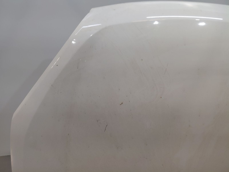 Recambio de capot para fiat doblo cargo (263_) 1.3 d multijet (263wxu1a) referencia OEM IAM   