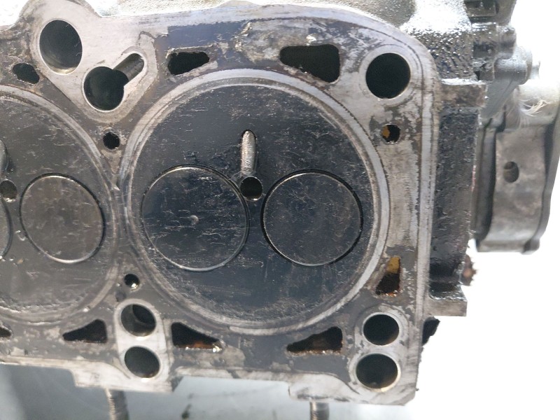 Recambio de culata para audi a6 c5 (4b2, 4b4) 1.9 tdi referencia OEM IAM 03G103351C  