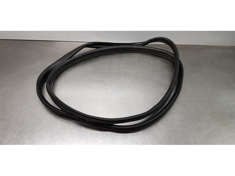 Recambio de gomas contorno puerta para dacia lodgy comfort referencia OEM IAM 808329324R  