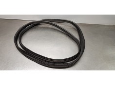 Recambio de gomas contorno puerta para dacia lodgy comfort referencia OEM IAM 769230599R  