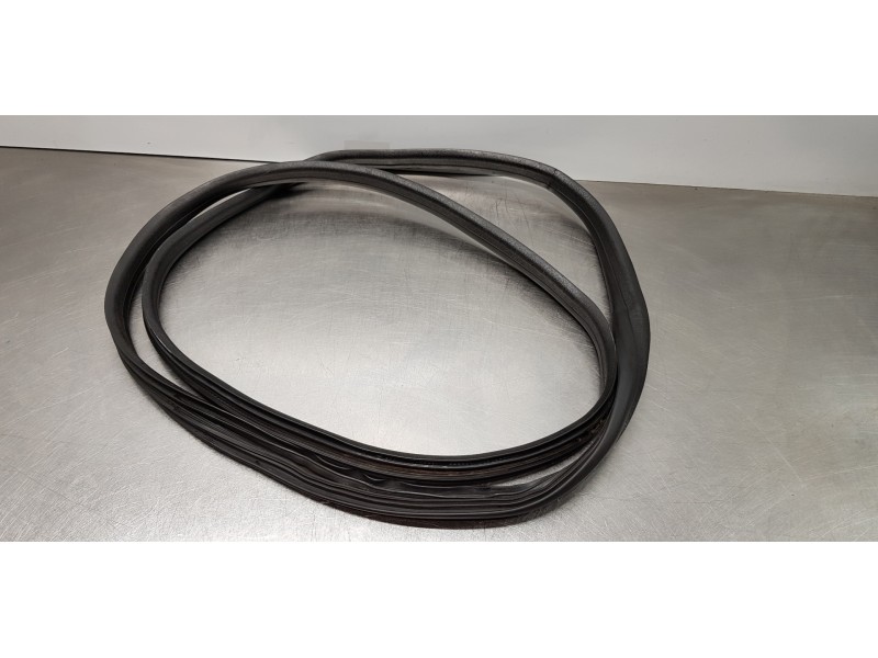 Recambio de gomas contorno puerta para dacia lodgy comfort referencia OEM IAM 769230599R  