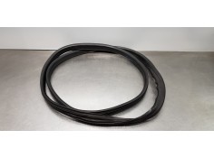 Recambio de gomas contorno puerta para dacia lodgy comfort referencia OEM IAM 769230599R   2