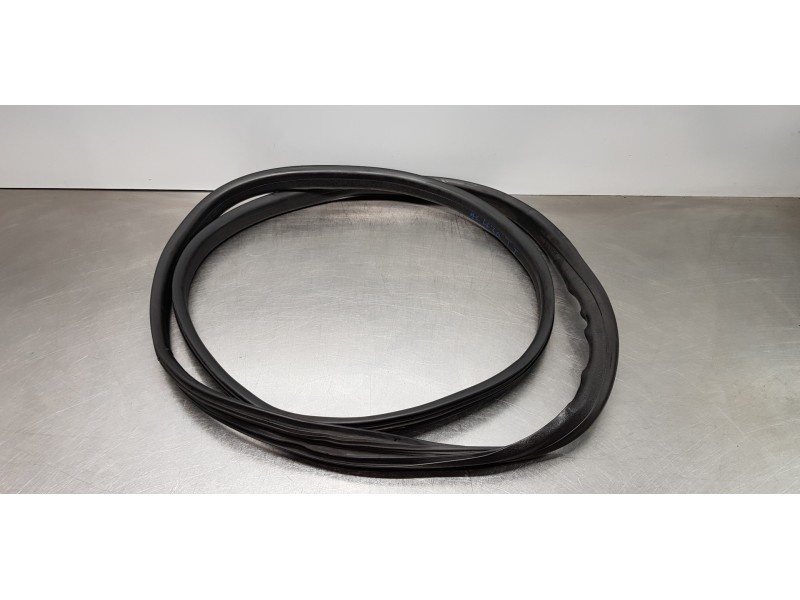 Recambio de gomas contorno puerta para dacia lodgy comfort referencia OEM IAM 769230599R  