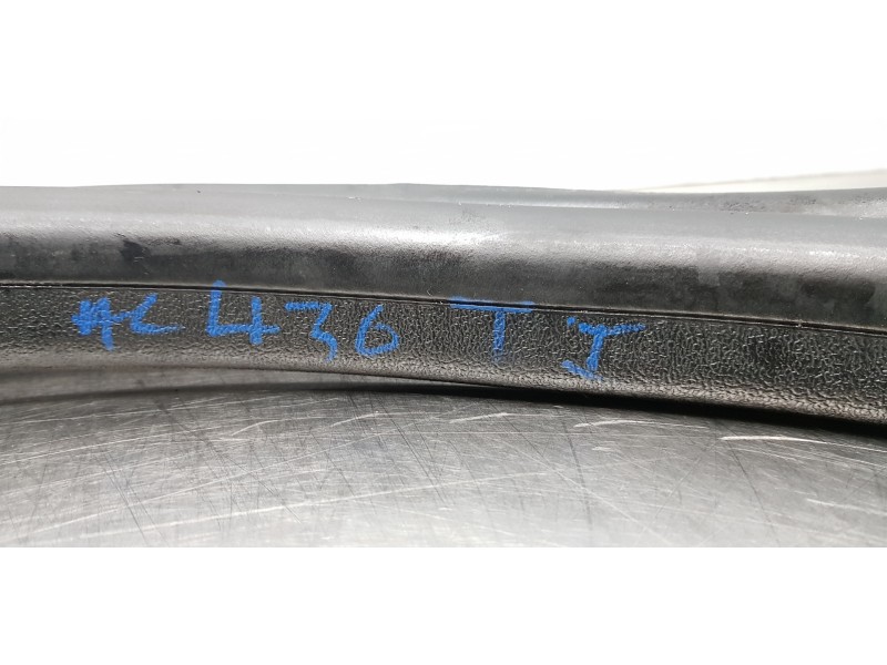 Recambio de gomas contorno puerta para dacia lodgy comfort referencia OEM IAM 769230599R  