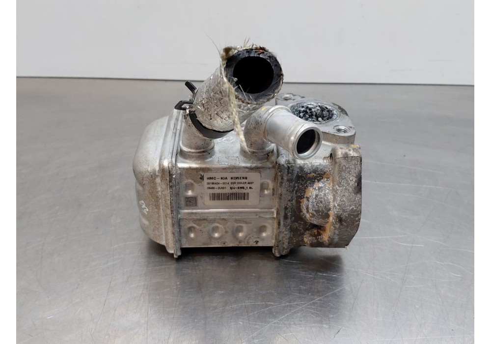 Recambio de enfriador egr para kia sportage drive referencia OEM IAM   